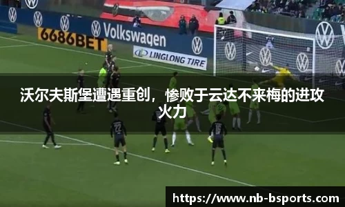 B体育官方网站