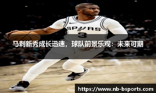 B体育官方