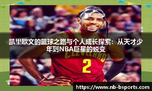 B体育官方网站
